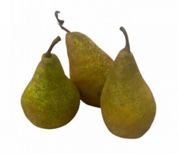 Photo de produit pour Poire Xénia (très grosse)