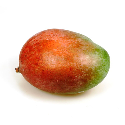 Photo de produit pour Mangue Kent (bateau : à mûrir)