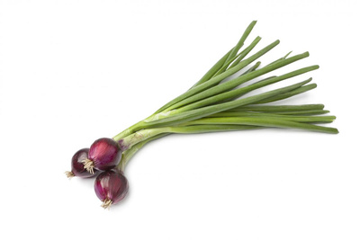 Photo de produit pour Oignon rouge botte
