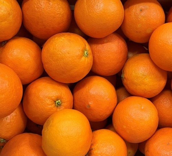 Photo de produit pour Colis Orange mi-sanguine 2kg