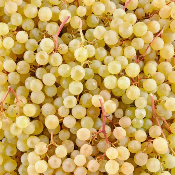 Photo de produit pour Colis Raisin Danlas 2kg