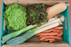 Photo de produit pour Légumes Essentiel