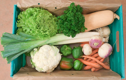 Photo de produit pour Légumes complet