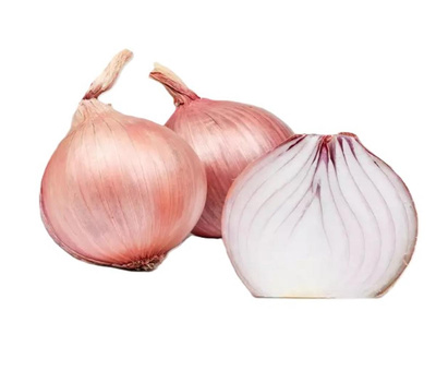 Photo de produit pour Oignon rose