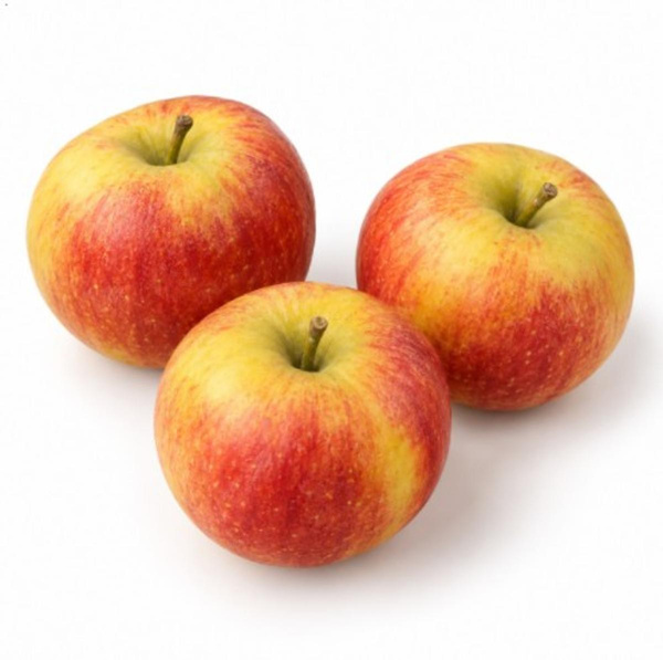 Photo de produit pour Pomme Daliclass