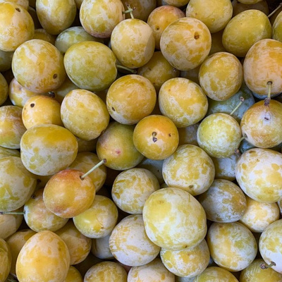 Photo de produit pour Colis Mirabelles 2kg