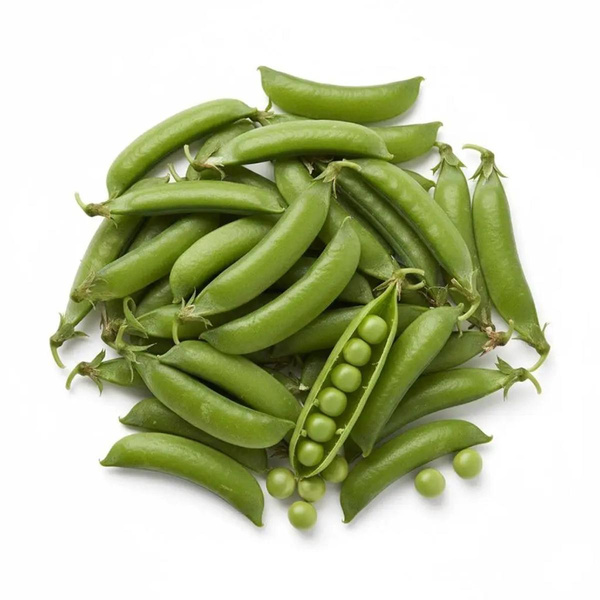 Photo de produit pour Petit pois