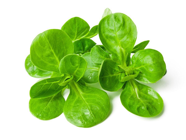 Photo de produit pour Mâche PROMO 350g